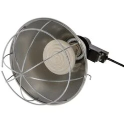 Ampoule Céramique Sans Lumière Lampe Chauffante Poule 100W - Kerbl -Poulaillers 175642