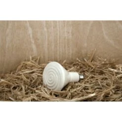 Ampoule Céramique Sans Lumière Lampe Chauffante Poule 100W - Kerbl -Poulaillers 175687
