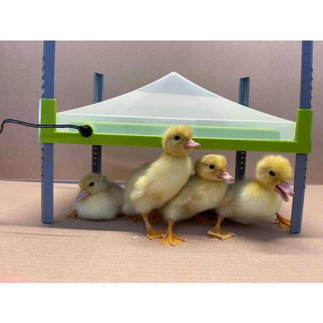 Couvercle De Protection De Panneau Chauffant Pour Poussin Caleo 1400 30x40cm - River Systems 4 Couvercle De Protection De Panneau Chauffant Pour Poussin Caleo 1400 30x40cm - River Systems – Image 2