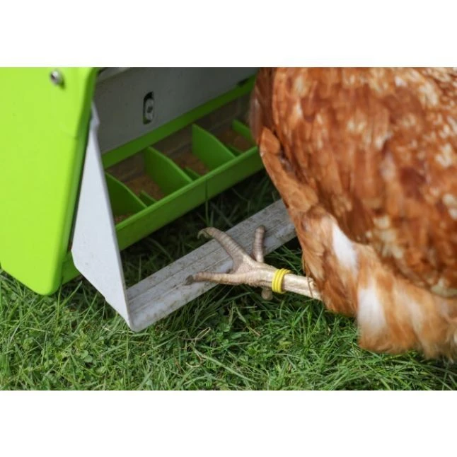 Mangeoire Poule à Pédale En Plastique Avec Pied D’appui Mobile SmartCoop 7,5kg - Kerbl 9 Mangeoire Poule à Pédale En Plastique Avec Pied D’appui Mobile SmartCoop 7,5kg - Kerbl – Image 7