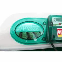 Couveuse Semi-automatique Digitale Poule ET 49 Capacité 49 œufs - River Systems -Poulaillers 549 incubatrice digitale et 49 oblo