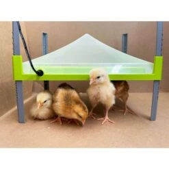 Couvercle De Protection De Panneau Chauffant Pour Poussin Caleo 1400 30x40cm - River Systems 7 Couvercle De Protection De Panneau Chauffant Pour Poussin Caleo 1400 30x40cm - River Systems -Poulaillers 5 piastra riscaldante caleo river systems scaled 1