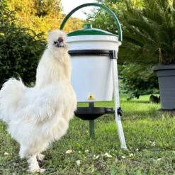 Abreuvoir Poule Sur Pieds Avec Seau Rivus 17L - River Systems -Poulaillers abreuvoir a seau sur pied 17 litres rivus river systems avec poule