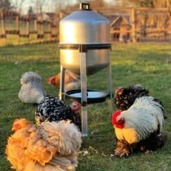 Abreuvoir Galvanisé Sur Pied Type 30L -Poulaillers abreuvoir volailles galvanise 30 litres avec poules