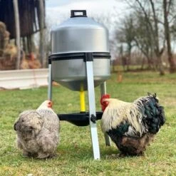 Abreuvoir Galvanisé Sur Pied Type 30L -Poulaillers abreuvoir volailles galvanise 30 litres avec poules suggestion