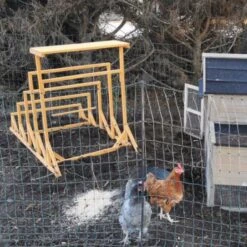 Aire De Jeux En Bois Pour Poule Avec Balançoire -Poulaillers aire de jeux poule avec balancoire avec deux poules installee poulailler
