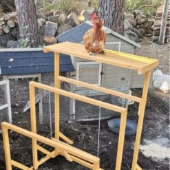 Aire De Jeux En Bois Pour Poule Avec Balançoire -Poulaillers aire de jeux poule avec balancoire avec poule