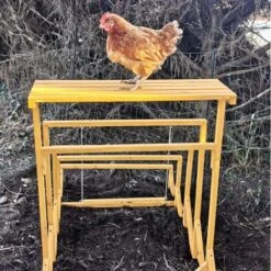 Aire De Jeux En Bois Pour Poule Avec Balançoire -Poulaillers aire de jeux poule avec balancoire avec poule arriere