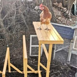 Aire De Jeux En Bois Pour Poule Avec Balançoire -Poulaillers aire de jeux poule avec balancoire avec poule cote