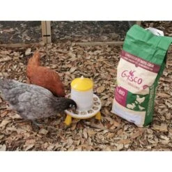Mélange Pour Poule Pondeuse Bio 8 Kg 9 Mélange Pour Poule Pondeuse Bio 8 Kg -Poulaillers alimentation pondeuse bio 8kg avec poules