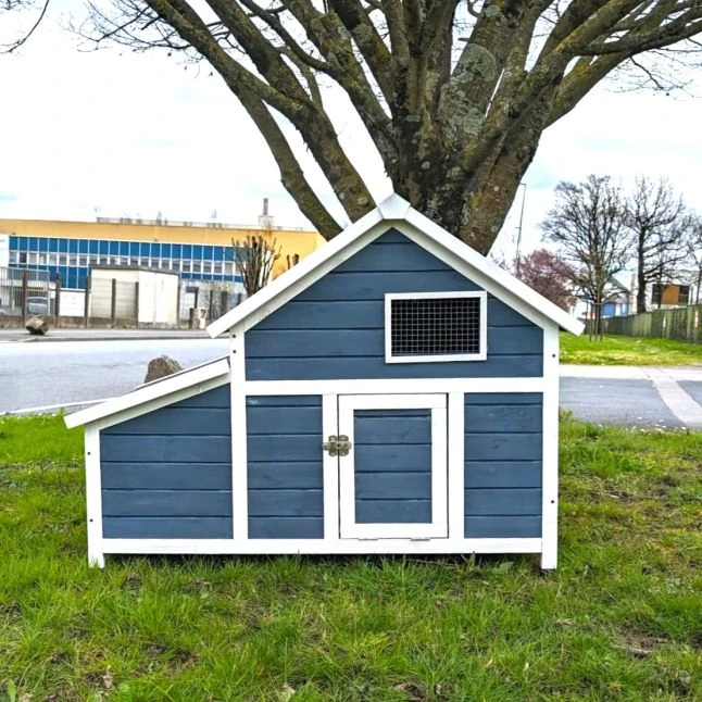 Poulailler Bantam XL Bleu Toit Shingle 2 à 4 Poules 3 Poulailler Bantam XL Bleu Toit Shingle 2 à 4 Poules