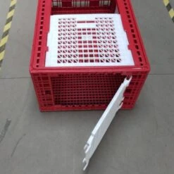 Cage Transport Grandes Volailles 96x57x42cm 3 Portes Rouge Et Blanche -Poulaillers cage transport grandes volailles 96x57x42 aytav detail cote ouverte