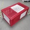 Cage Transport Grandes Volailles 96x57x42cm 3 Portes Rouge Et Blanche 2 Cage Transport Grandes Volailles 96x57x42cm 3 Portes Rouge Et Blanche -Poulaillers cage transport grandes volailles 96x57x42 aytav profil fermee