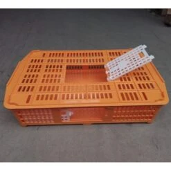Cage Transport Petites Volailles 67x45x15cm 2 Portes Orange Et Blanche -Poulaillers cage transport volailles 67x45x15 aytav cote ouverte