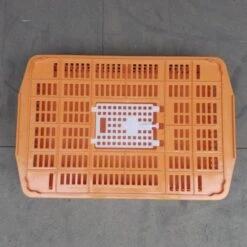 Cage Transport Petites Volailles 67x45x15cm 2 Portes Orange Et Blanche -Poulaillers cage transport volailles 67x45x15 aytav dessus fermee