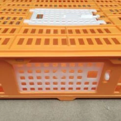 Cage Transport Petites Volailles 67x45x15cm 2 Portes Orange Et Blanche -Poulaillers cage transport volailles 67x45x15 aytav detail cote fermee