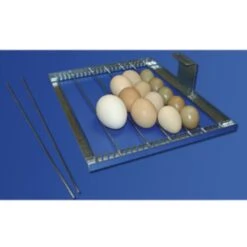 Couveuse Automatique Digitale Poule Cip Cip 40 Mini LED PVC Capacité 40 œufs - FIEM 12 Couveuse Automatique Digitale Poule Cip Cip 40 Mini LED PVC Capacité 40 œufs - FIEM -Poulaillers couveuse automatique cip cip fiem grille oeufs reglable 2