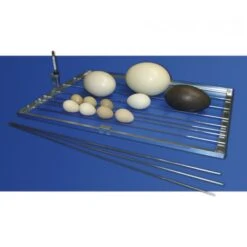 Couveuse Automatique Digitale Poule Cosmo 72 Mini LCD Capacité 72 œufs - FIEM -Poulaillers couveuse automatique cosmo 72 mini led fiem grille