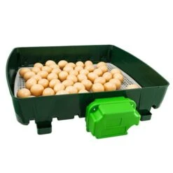 Couveuse Automatique Digitale Poule ET 49 Capacité 49 œufs - River Systems -Poulaillers couveuse automatique digitale et 49 river systems ouverte