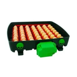 Couveuse Automatique Digitale Poule ET Super Capacité 49 œufs - River Systems 16 Couveuse Automatique Digitale Poule ET Super Capacité 49 œufs - River Systems -Poulaillers couveuse automatique digitale et super 49 river systems ouverte oeufs ranges