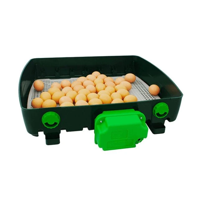 Couveuse Automatique Digitale Poule ET Super Capacité 49 œufs - River Systems 9 Couveuse Automatique Digitale Poule ET Super Capacité 49 œufs - River Systems – Image 7