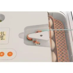 Couveuse Automatique Digitale Poule Dual Power Capacité 56 œufs - HHD -Poulaillers couveuse wonegg dual power 56 oeufs hhd detail