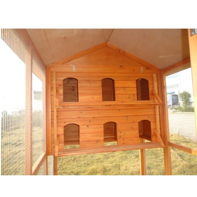 Pigeonnier En Bois 12 Pigeons Huppé Toit Shingle Vert 6 Pigeonnier En Bois 12 Pigeons Huppé Toit Shingle Vert – Image 4