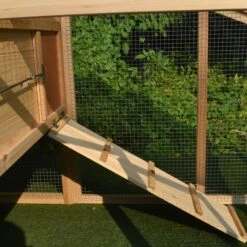 Poulailler Soie Toit Shingle Et Polycarbonate 4 à 6 Poules -Poulaillers dsc 0494