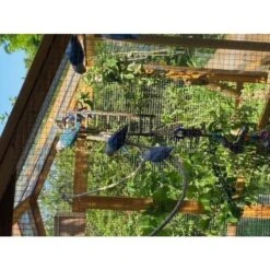 Grand Parc Grillagé Pour Poulailler Vorwerk -Poulaillers extension poulailler gournay ame2