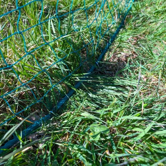 Filet Poule Grande Hauteur Double Pointe 15m X 1,26m - Zen Farm 19 Filet Poule Grande Hauteur Double Pointe 15m X 1,26m - Zen Farm – Image 17