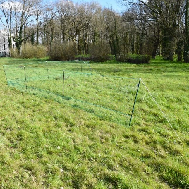 Filet Poule Grande Hauteur Double Pointe 50m X 1,26m - Zen Farm 4 Filet Poule Grande Hauteur Double Pointe 50m X 1,26m - Zen Farm – Image 2