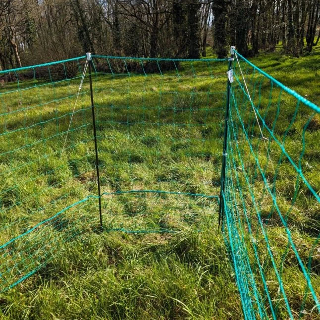 Filet Poule Grande Hauteur Double Pointe 15m X 1,26m - Zen Farm 10 Filet Poule Grande Hauteur Double Pointe 15m X 1,26m - Zen Farm – Image 8