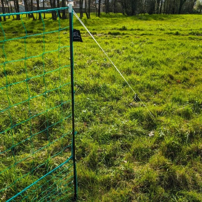 Filet Poule Grande Hauteur Double Pointe 50m X 1,26m - Zen Farm 22 Filet Poule Grande Hauteur Double Pointe 50m X 1,26m - Zen Farm – Image 20