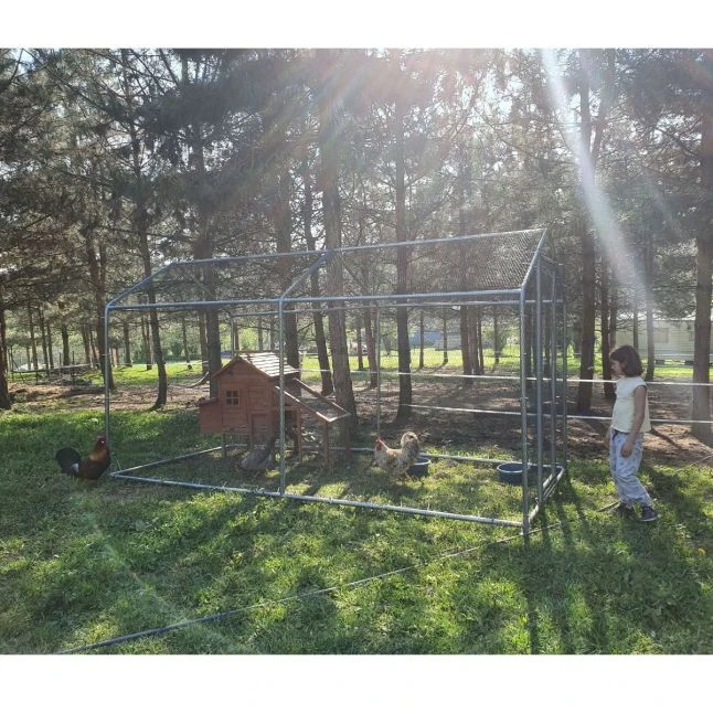 Enclos Poulailler 8m² Tubes 32mm H2,25m - Parc Grillagé Renforcé 4x2m - Acier Galvanisé 5 Enclos Poulailler 8m² Tubes 32mm H2,25m - Parc Grillagé Renforcé 4x2m - Acier Galvanisé – Image 4