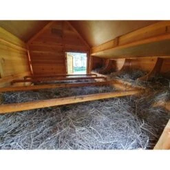 Poulailler Cémani XXL Toit Shingle Noir 15 à 18 Poules -Poulaillers grand poulailler bassette xxl 15 18 poules vue face interieur 1 1