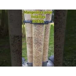 Mangeoire Pour Poule En Plastique Gris Tube Transparent 7kg Prima - Evena 23 Mangeoire Pour Poule En Plastique Gris Tube Transparent 7kg Prima - Evena -Poulaillers hqdefault 4