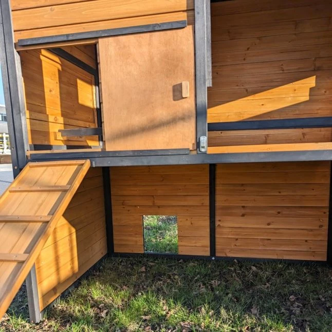 Poulailler Vorwerk Toit Shingle 10 à 12 Poules 15 Poulailler Vorwerk Toit Shingle 10 à 12 Poules – Image 13