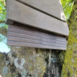 Nichoir Chauve-souris Bois FSC Grande Taille -Poulaillers maison chauve souris grande d tail entr 2