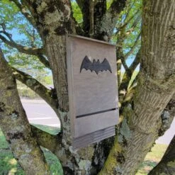 Nichoir Chauve-souris Bois FSC Grande Taille -Poulaillers maison chauve souris grande vue c t