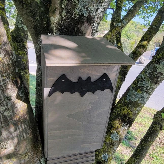 Nichoir Chauve-souris Bois FSC Petite Taille 6 Nichoir Chauve-souris Bois FSC Petite Taille – Image 4