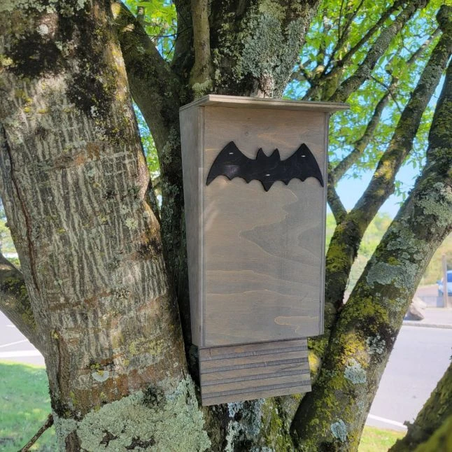 Nichoir Chauve-souris Bois FSC Petite Taille 3 Nichoir Chauve-souris Bois FSC Petite Taille