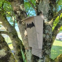 Nichoir Chauve-souris Bois FSC Petite Taille 10 Nichoir Chauve-souris Bois FSC Petite Taille -Poulaillers maison chauve souris petite vue c t