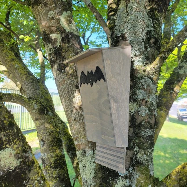 Nichoir Chauve-souris Bois FSC Petite Taille 5 Nichoir Chauve-souris Bois FSC Petite Taille – Image 3