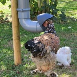 Mangeoire Pour Poule En Plastique Tube Gris 7kg Prima 2 - Evena -Poulaillers mangeoire poule plastique tube gris utilisation