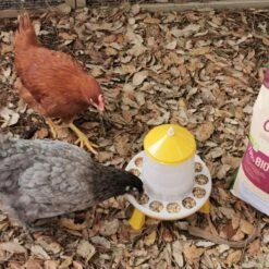 Gaun Mangeoire Poule à Pieds En Bioplastique Végétal Eco 2Kg -Poulaillers mangeoire bioplastique avec pieds 2 kg