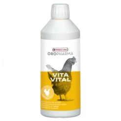 VERSELE-LAGA Complexe Multivitaminé Pour Volailles VitaVital 500ML - Versele Laga 7 VERSELE-LAGA Complexe Multivitaminé Pour Volailles VitaVital 500ML - Versele Laga -Poulaillers oropharma vita vital 500 image 2 1
