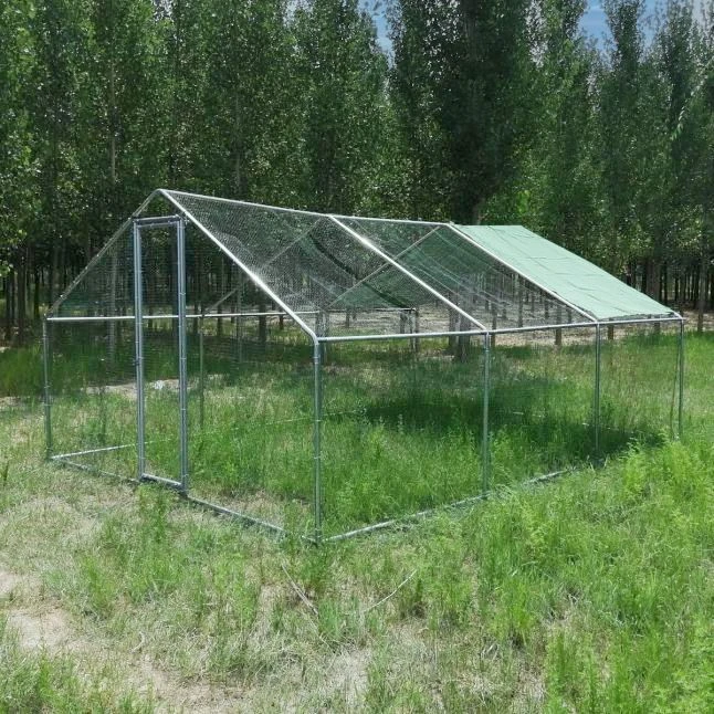 Enclos Poulailler 24m² Tubes 38mm H2,8m - Parc Grillagé Renforcé 6x4m - Acier Galvanisé 3 Enclos Poulailler 24m² Tubes 38mm H2,8m - Parc Grillagé Renforcé 6x4m - Acier Galvanisé