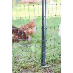 Piquet Support Pour Filet à Poules En Acier Galvanisé Et Gaine Plastique 120cm - Kerbl 12 Piquet Support Pour Filet à Poules En Acier Galvanisé Et Gaine Plastique 120cm - Kerbl -Poulaillers piquet support pour filet o14mm 120cm kerbl vue 5
