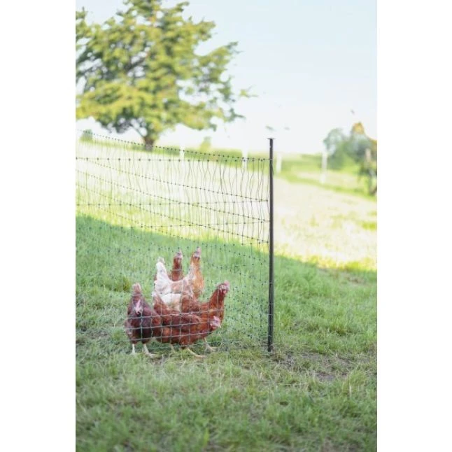 Piquet Support Pour Filet à Poules En Acier Galvanisé Et Gaine Plastique 120cm - Kerbl 7 Piquet Support Pour Filet à Poules En Acier Galvanisé Et Gaine Plastique 120cm - Kerbl – Image 5