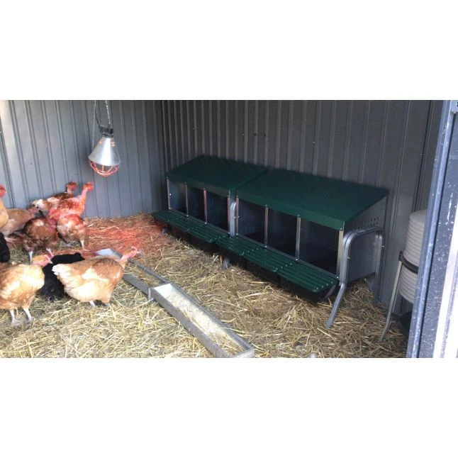 Batterie De Pondoirs Poule 3 Compartiments - Gaun 4 Batterie De Pondoirs Poule 3 Compartiments - Gaun – Image 2